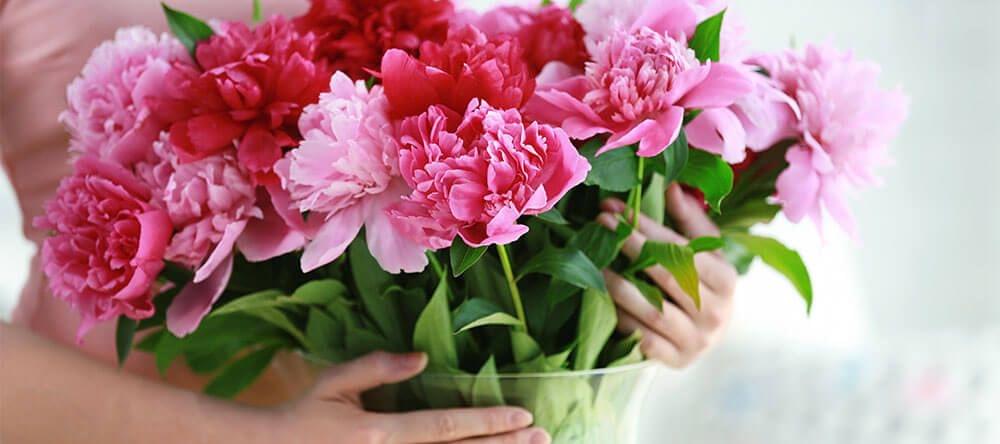 Corta los tallos enseguida al llegar a casa para mantener tus flores por más tiempo
